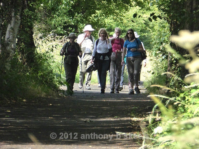 051 Striding out from Hayburn Wyke - York Minster Walkers Collection 2025