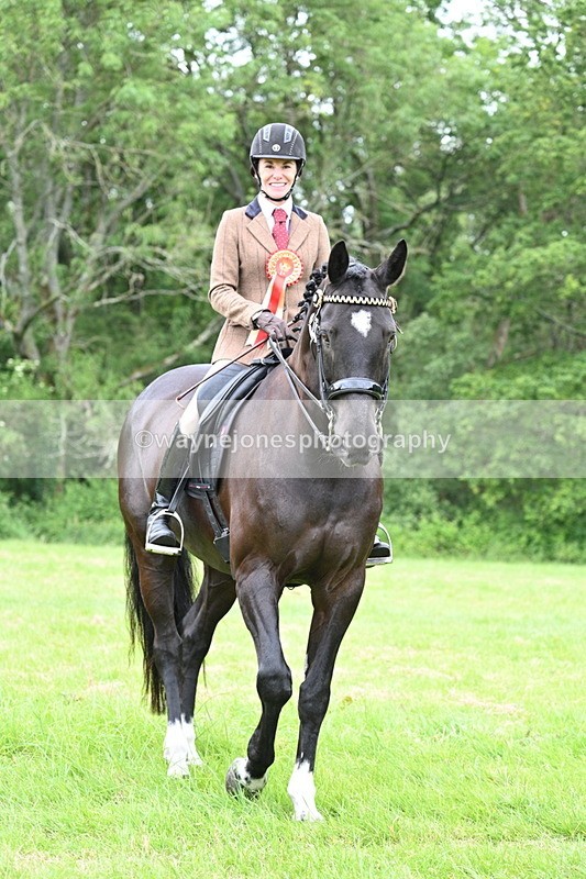 WJ7_4354 - Class 14A Handsome Gelding