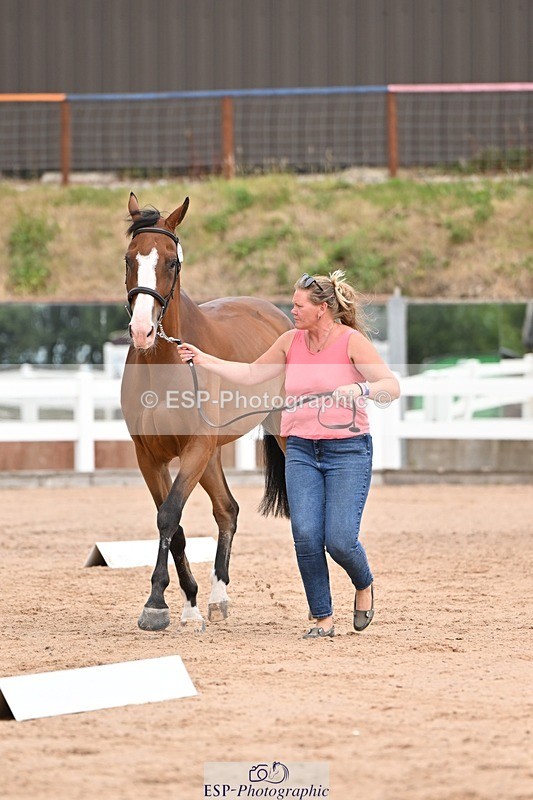 250716-152548-01934 - Trot Up 2.30 to 3.30