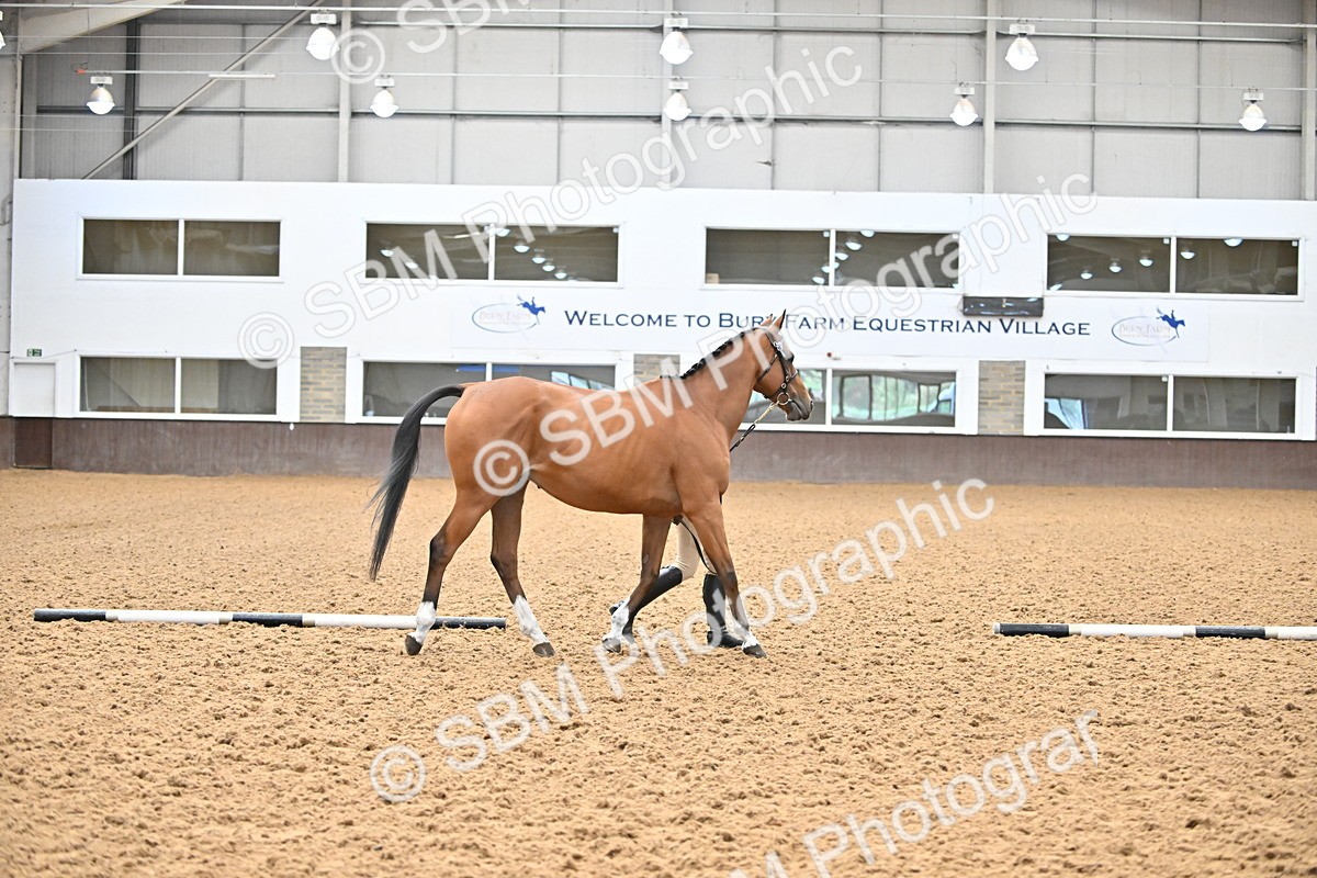SBM_000207 - Class 7 - ROR Tattersalls In Hand
