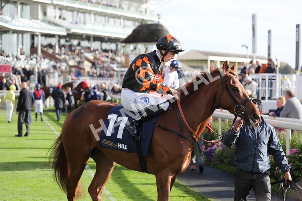 yr07102022r4-12 - Race 4 3.50pm William Hill Best Odds Guaranteed Stakes