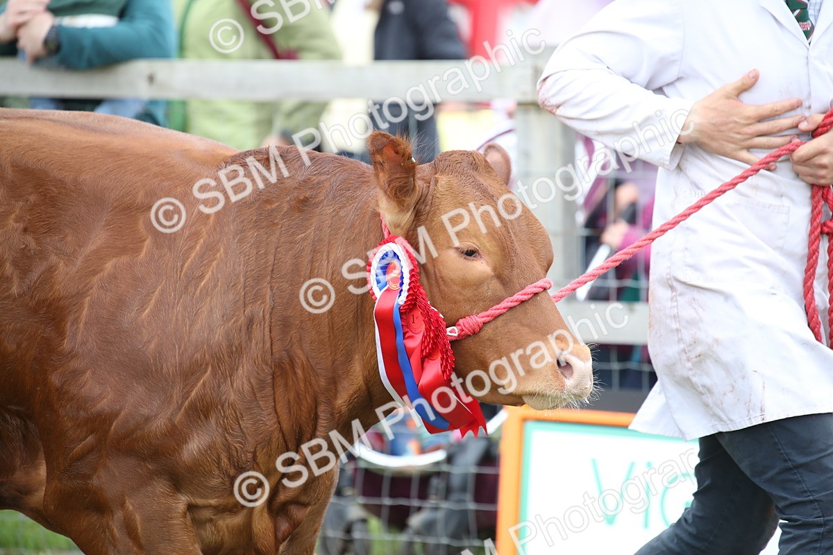SBM_07815 - Grand Parade