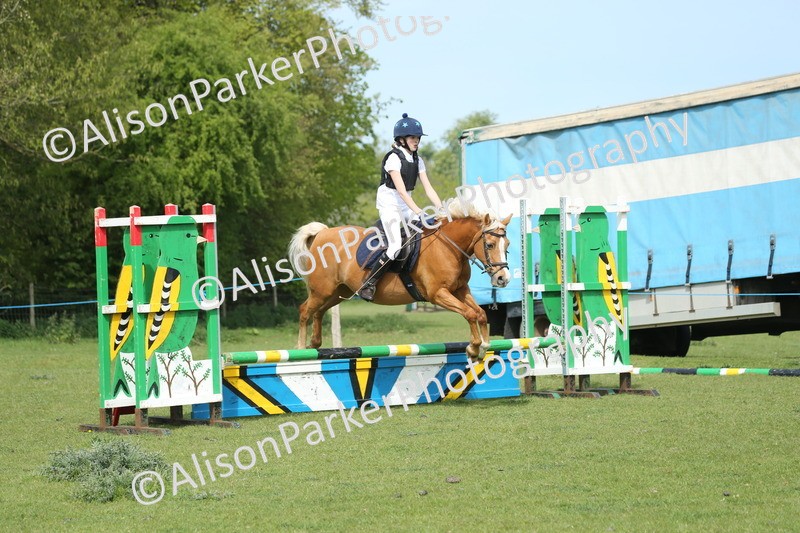 20260426-1611 - Class 14 - Novice 60cm