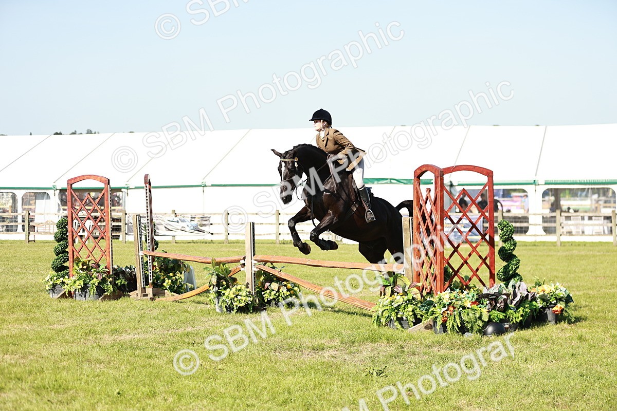 SBM_19157 - Class 115-116 - LIHS BSHA Rising Star Working Hunter & Show Horse