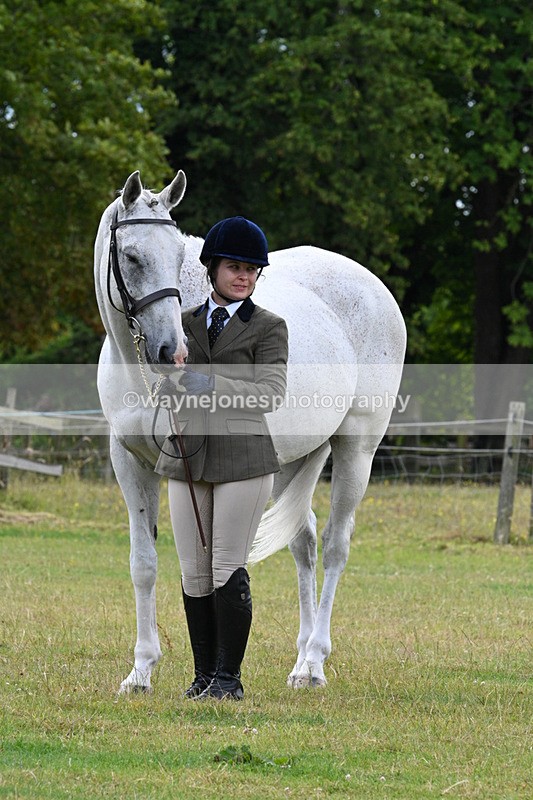 WJ7_7207 - Class 5a Most Handsome Gelding in Hand