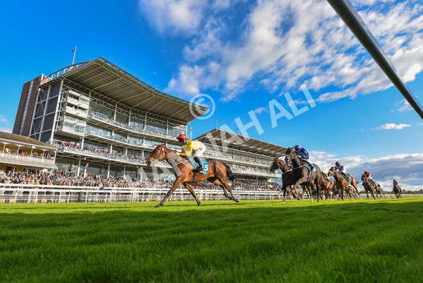 111024-Race 5-Vince LAmour-8082 - Race 5 3.45pm Copper Knight - Winning Most Horse At York Handicap