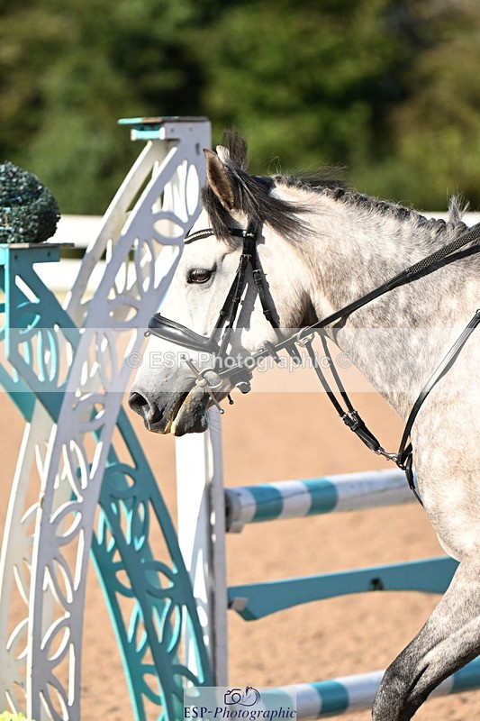 240914A-093033-05884 - Cls 20-S Snr British Novice and 90cm Open