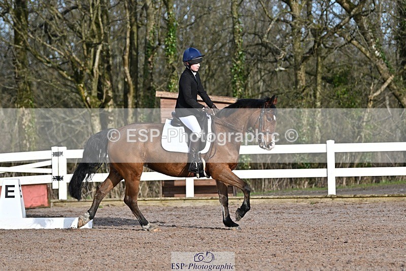 250125-104105-00215 - Dressage - CT Class 4 BE95 (80cm)