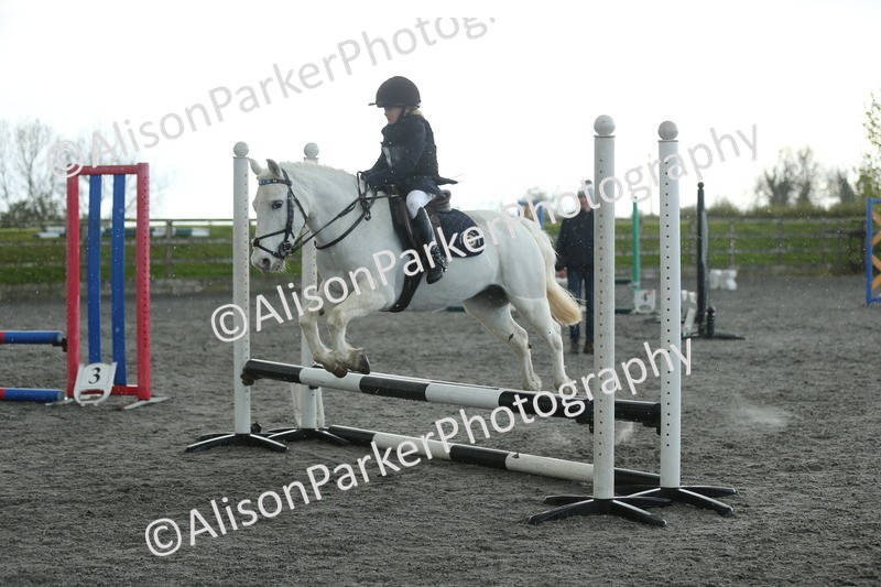 20260412-1940 - Show Jumping