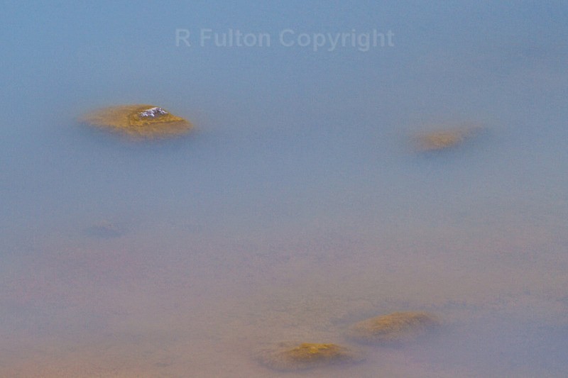 Geyser Detail 1 - Yellowstone