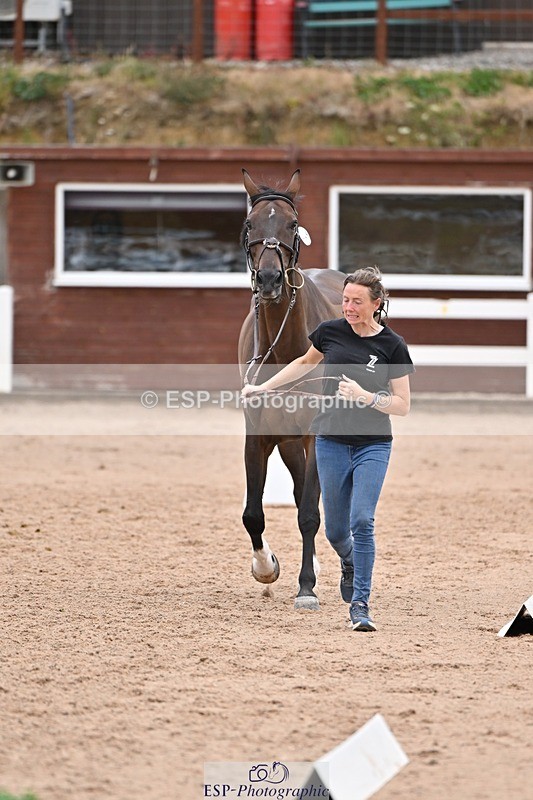 250716-140914-00937 - Trot Up 1.30 to 2.30