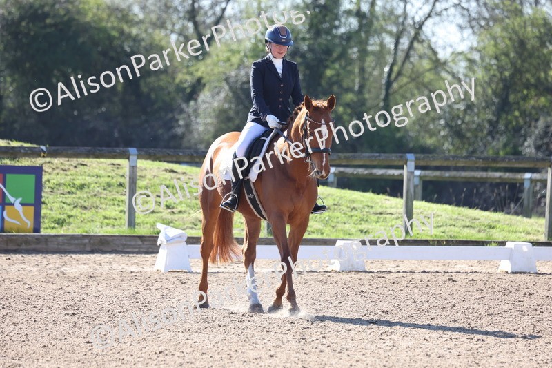 20260318-0161 - Class 2 - Intro 4