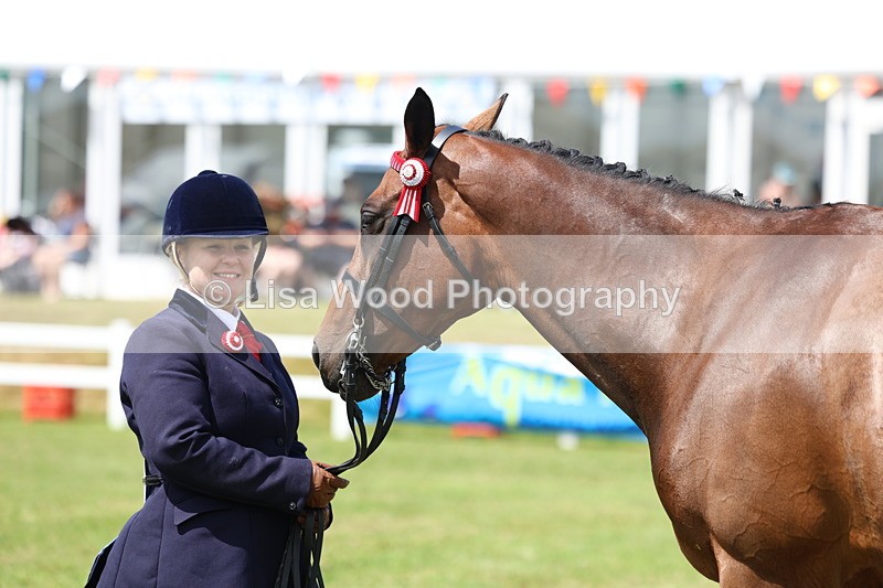 3E7A1131 - Class 8: Open Riding Horse/Hack