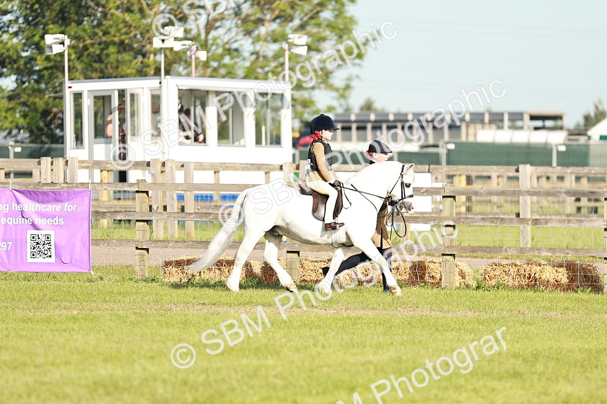 SBM_11043 - Class 106-107 - BSPS LIHS Working Sports Pony