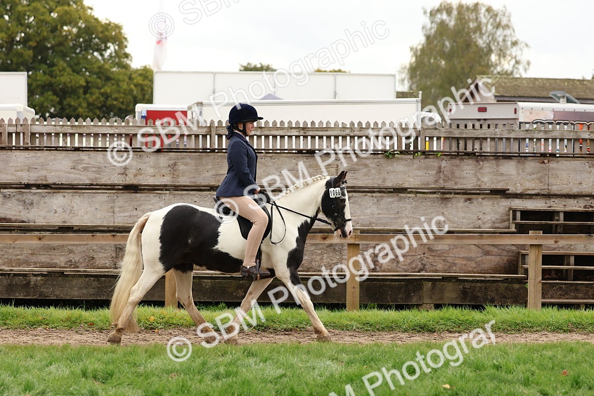 SBM_59888 - S36 - Rehabiliated Rescue Horse & Pony In Hand & Ridden