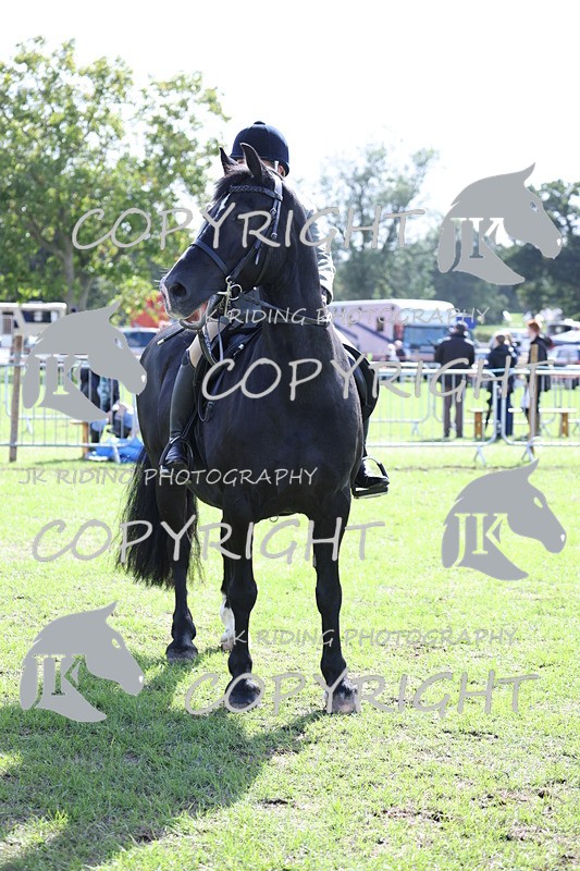 APP_3722 - Class 12 M&M ridden