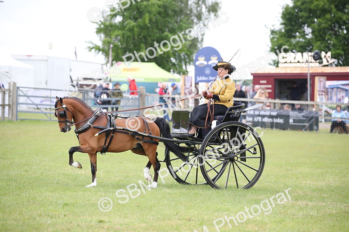 SBM_05841 - Class 12-15 - HOYS Private Driving