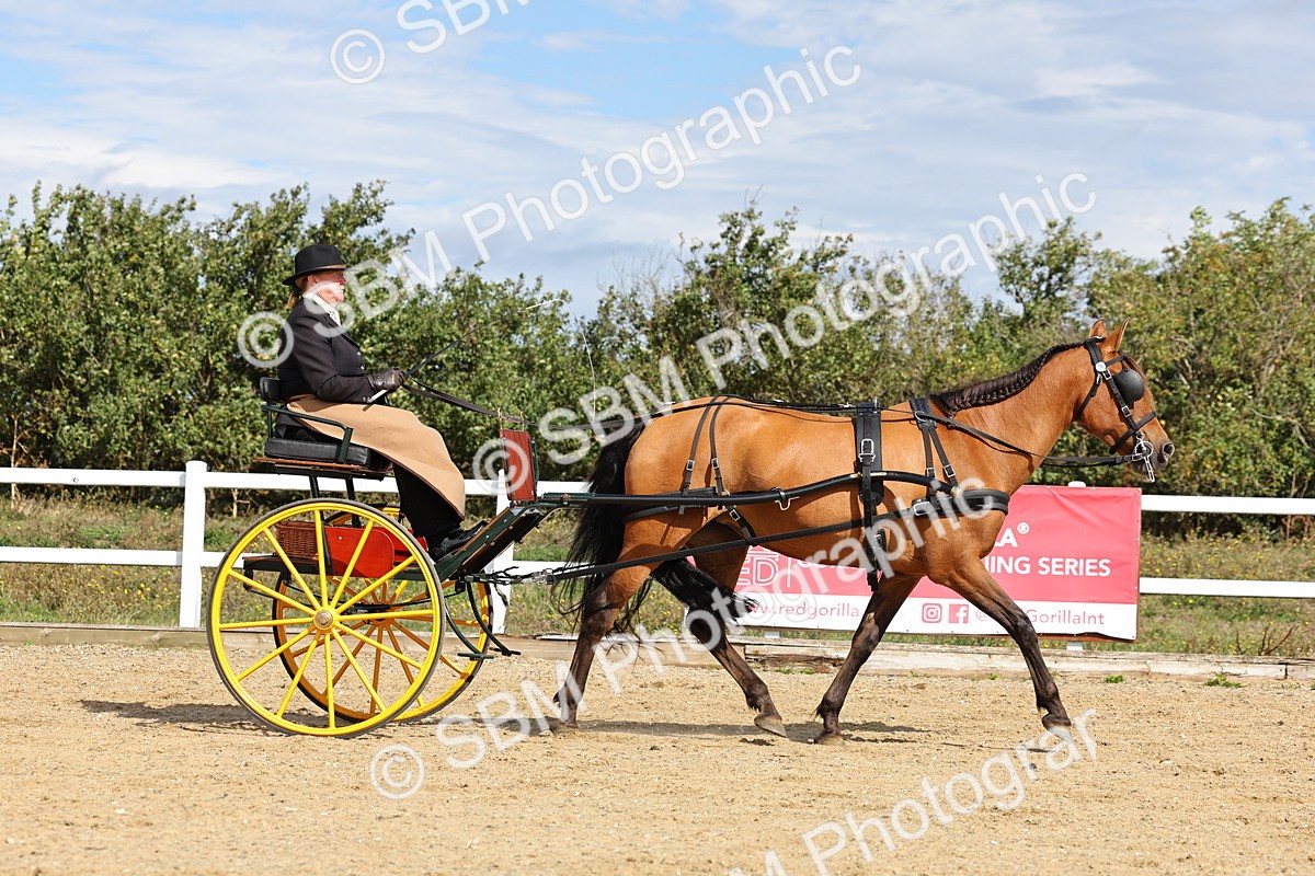 SBM_000898 - Class 8 - Novice Horse or Pony to any vehicle