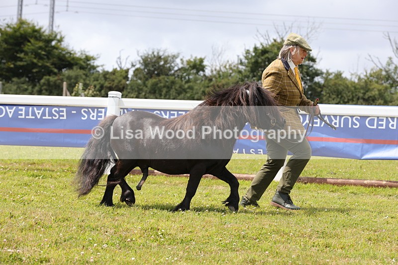 1X9A4758 - Class 35: Veteran In Hand