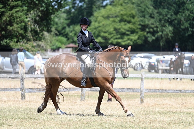 WJ7_3022 - Class 7 Riding Club Show Horse