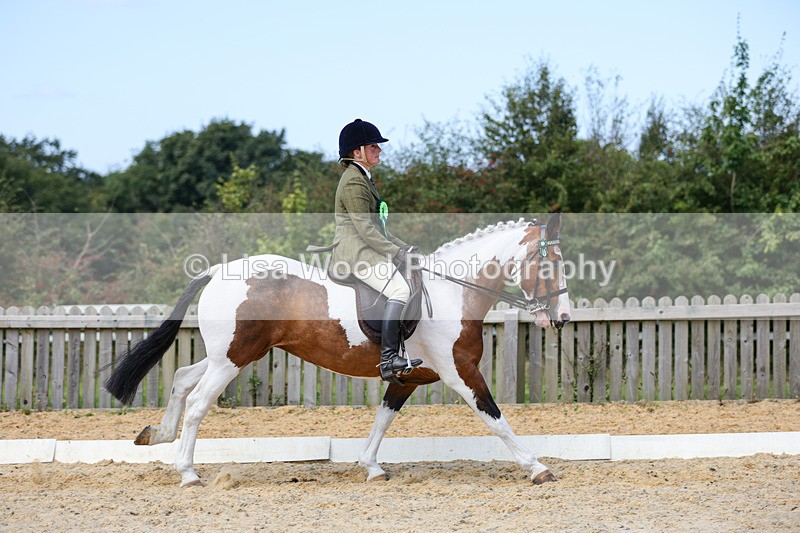 1X9A8332 - Class 12: Coloured Ridden