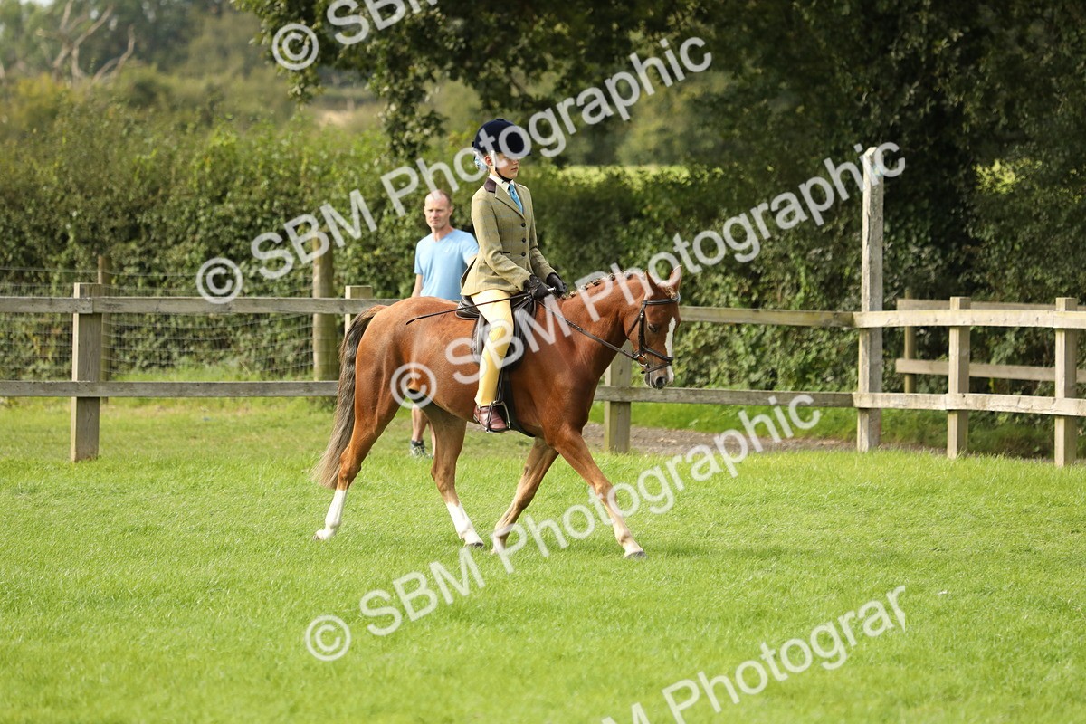 SBM_71476 - S41 - Ridden Equitation (Best Rider)