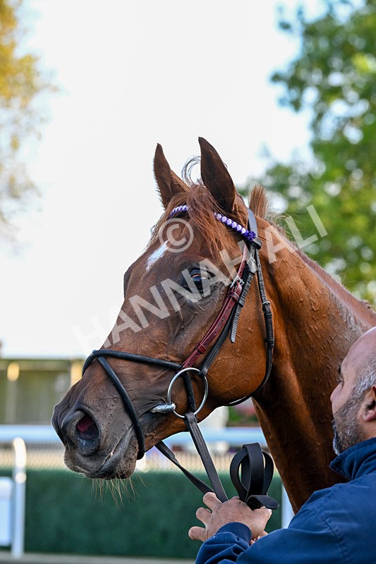 180924-Race 8-Inappropriate-5437 - Race 8