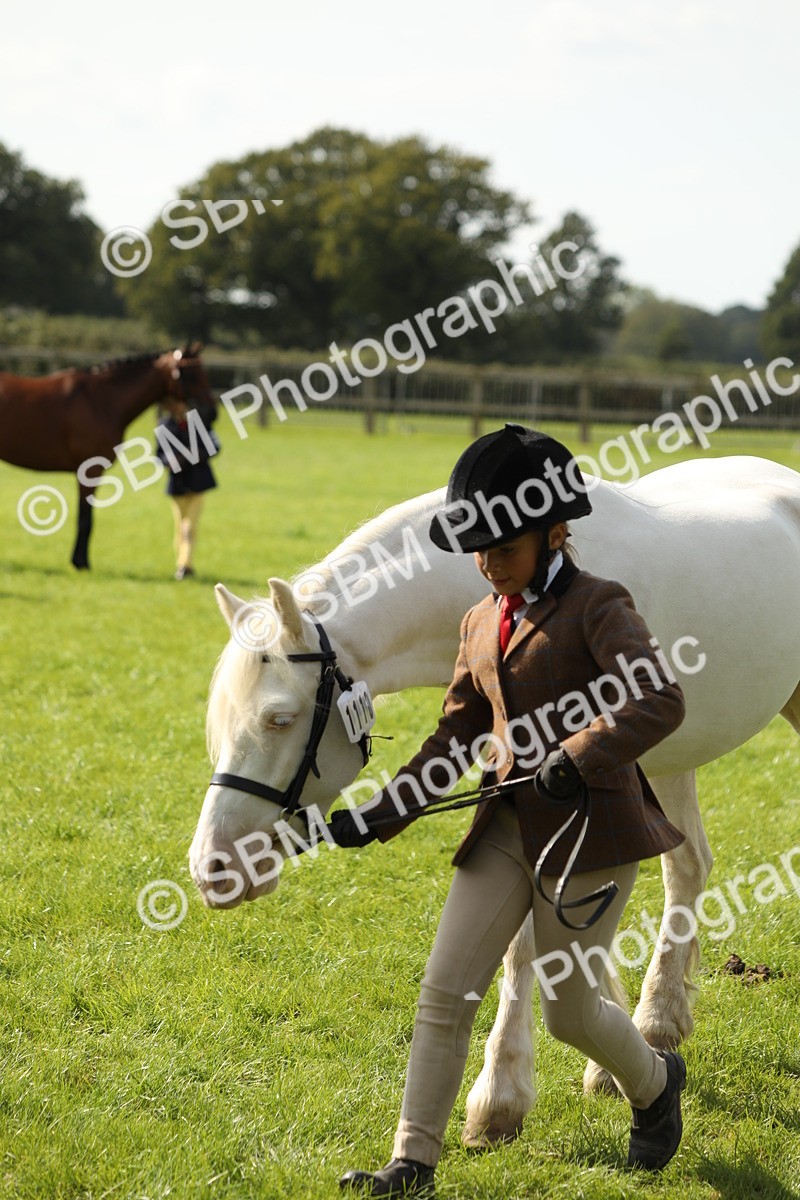 SBM_67811 - S39 - Junior Handler 8  Years & Under