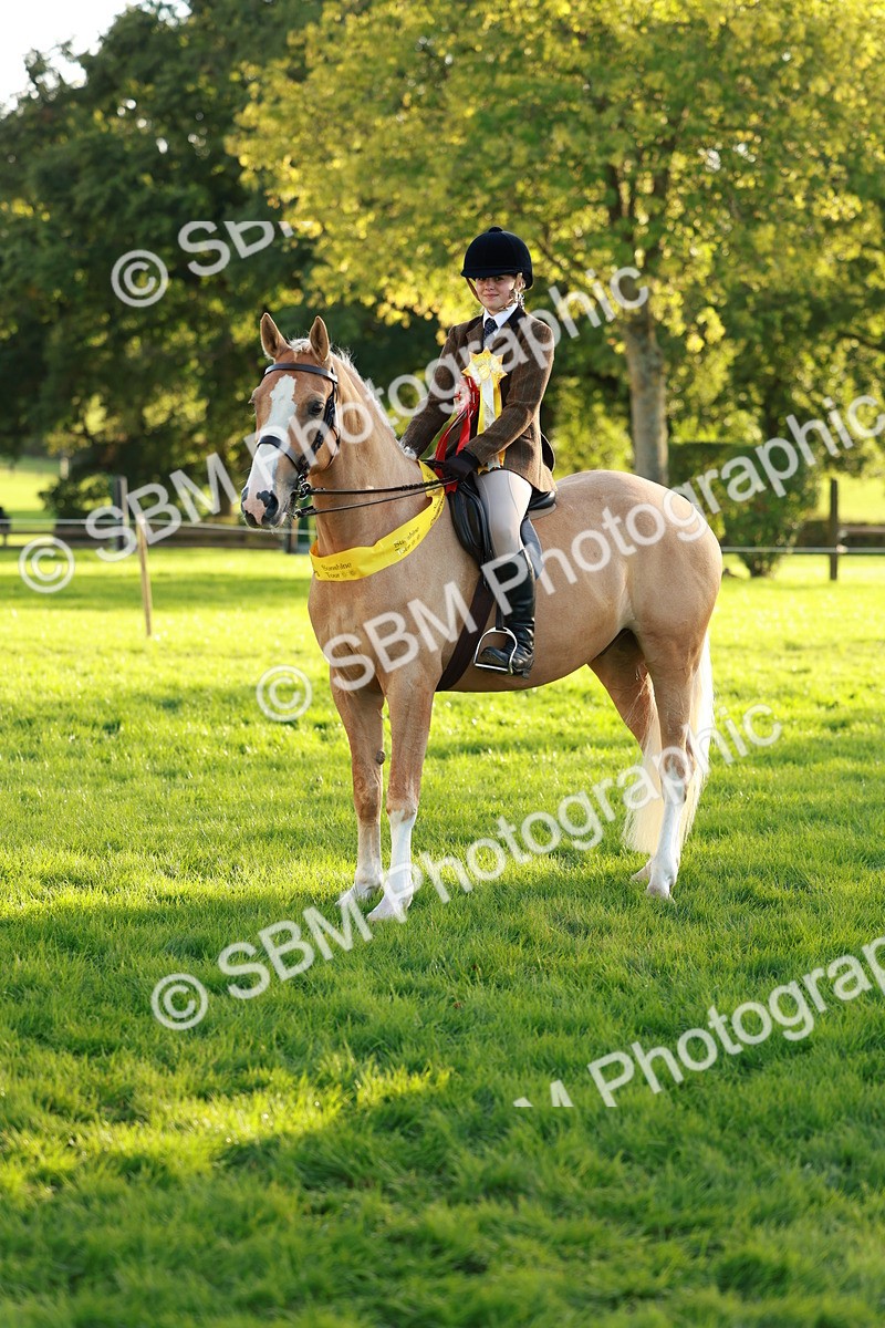 SBM_29326 - Novice & newcomer Supreme Championship