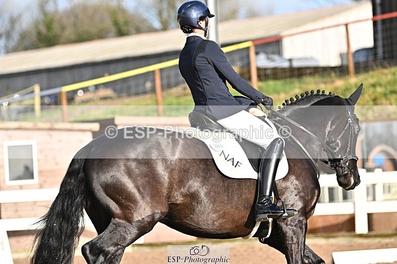 241214-114317-01426 - 151-Elder.Klatzko-Dynasty.Hit