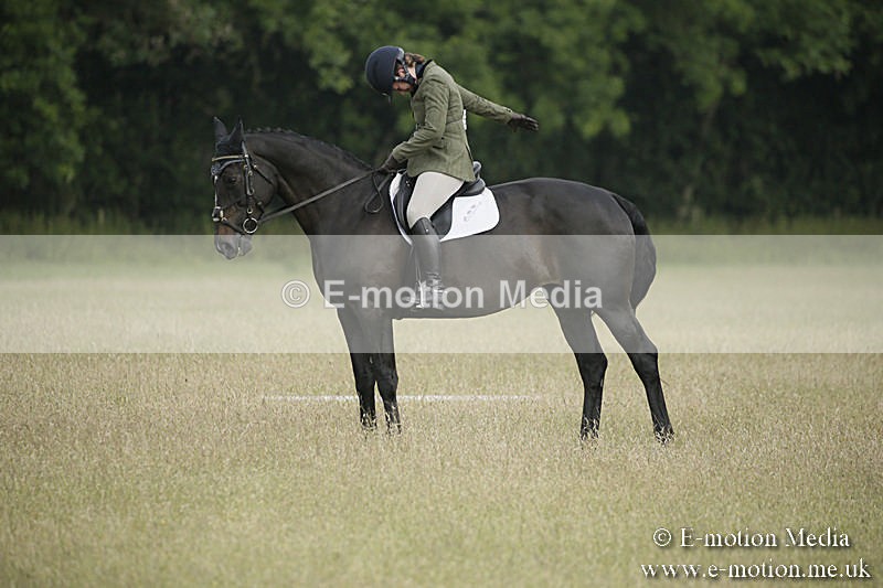B230619-0156 - Bourne Valley Riding Club Summer Show 23/06/19