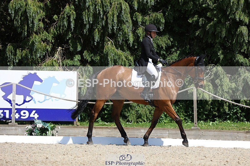 230526-150227-06608 - 377-GOLD_NUGGET-Jillian_Giessen-WEDTrotUp+DR