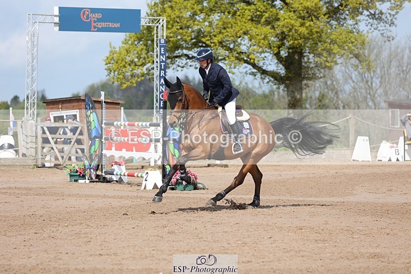 250427-105337-15678 - Cls 36 Young Horse 7yr old