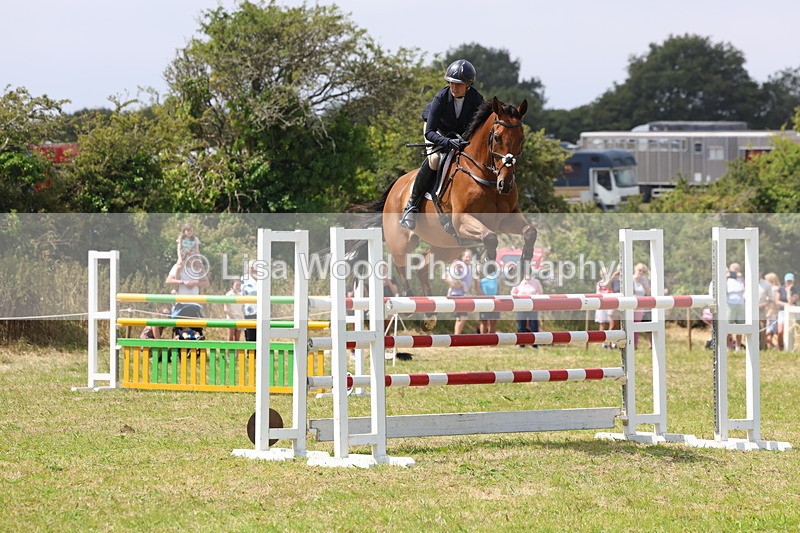 3E7A3425 - Class 10: Senior Foxhunter/1.20 open