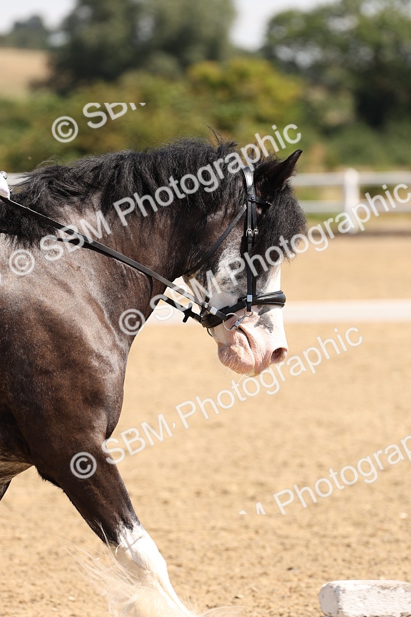 SBM_001204 - Intro 2