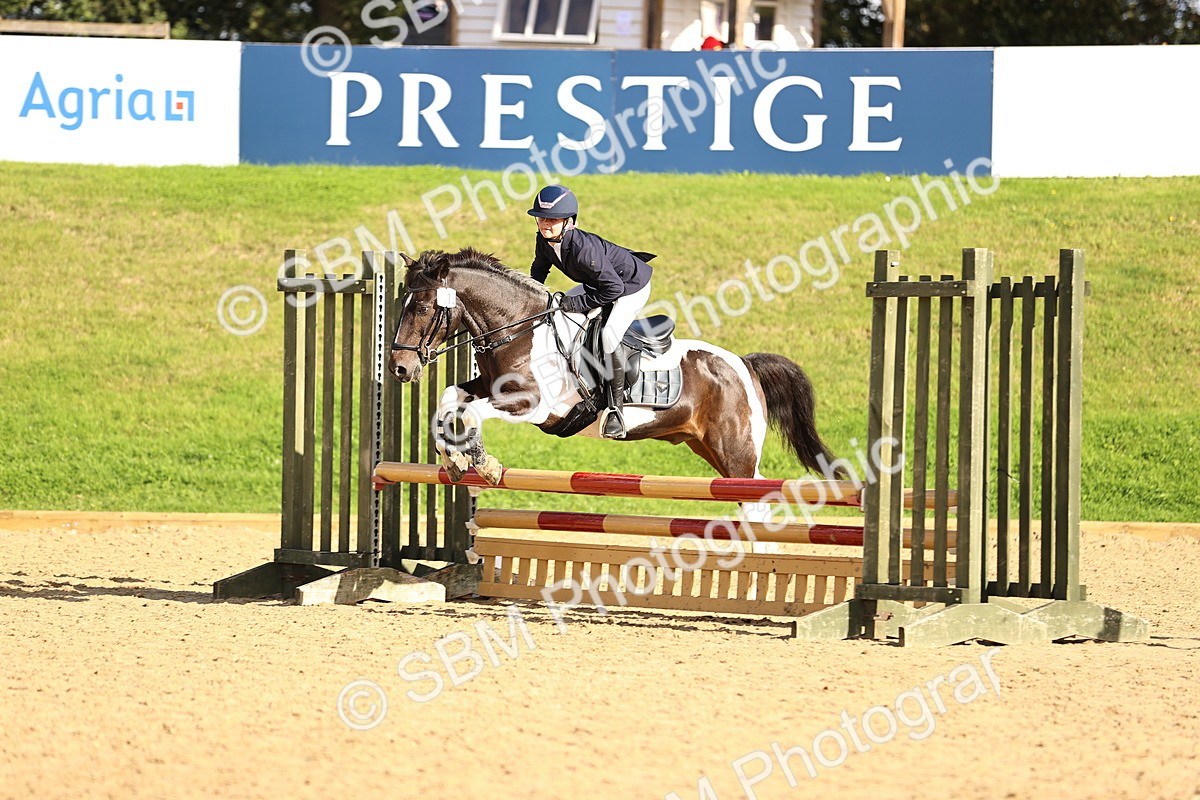 SBM_51305 - J10 - Junior Pony 75cm Championship