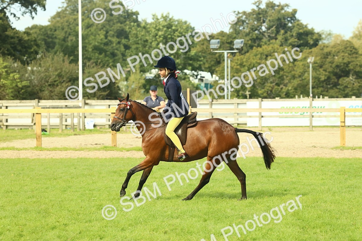 SBM_68101 - S57 - Part Bred Pony Ridden