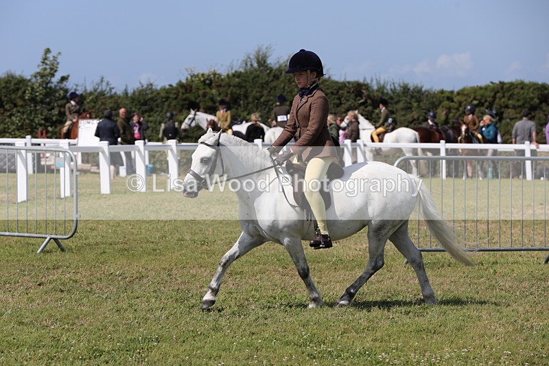 1X9A5436 - Class 37: NPS M&M First Ridden