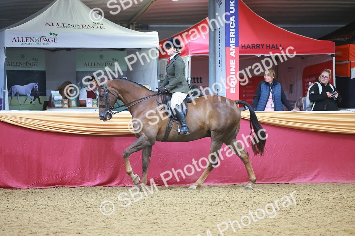 SBM_09677 - Class 102 - HOYS Veteran Qualifier - Ridden Veteran