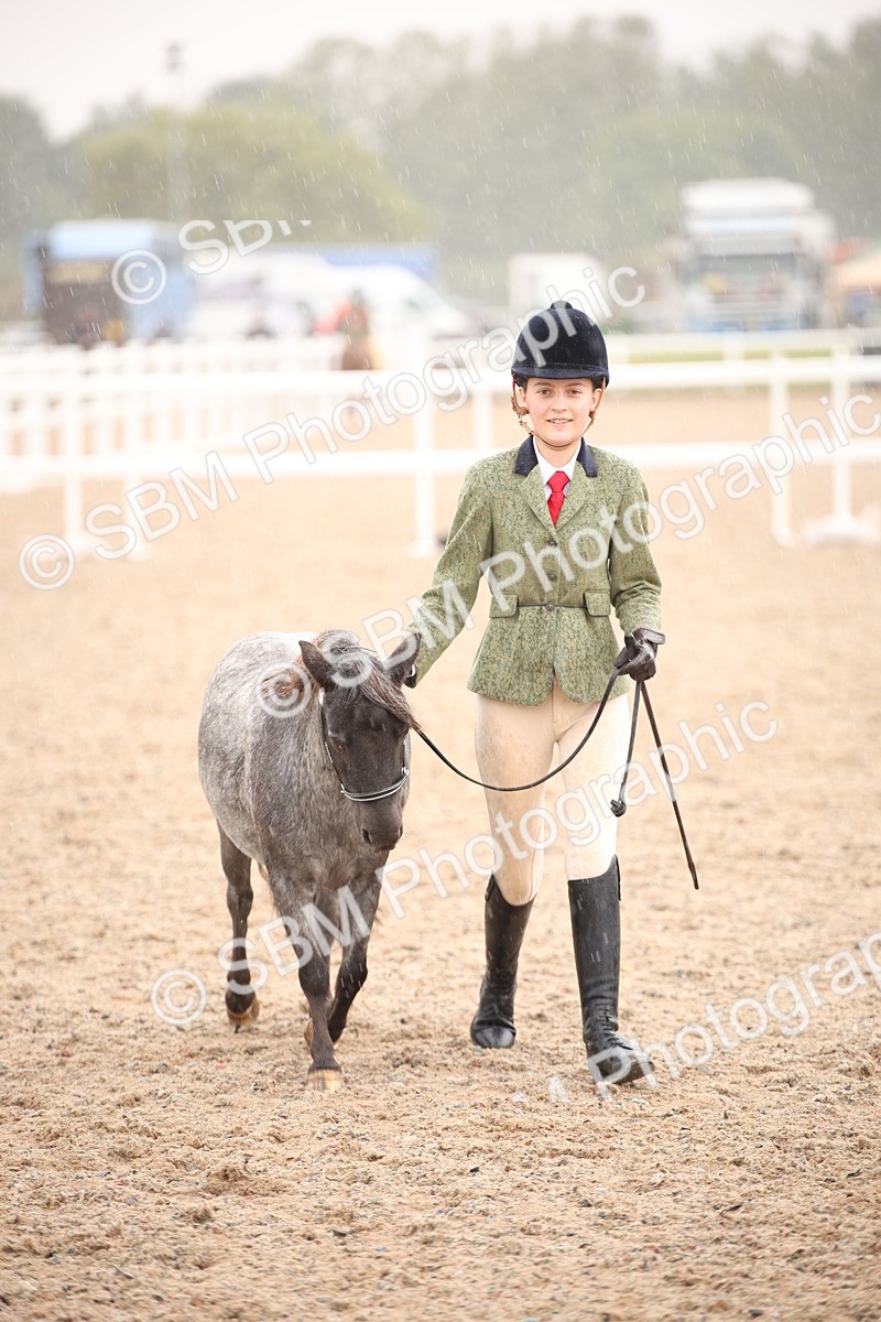 SBM_20247 - Class 704 - IH Rescue