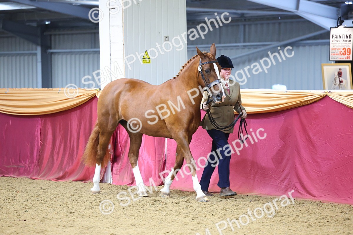 SBM_23217 - Supreme Final - IH Champion