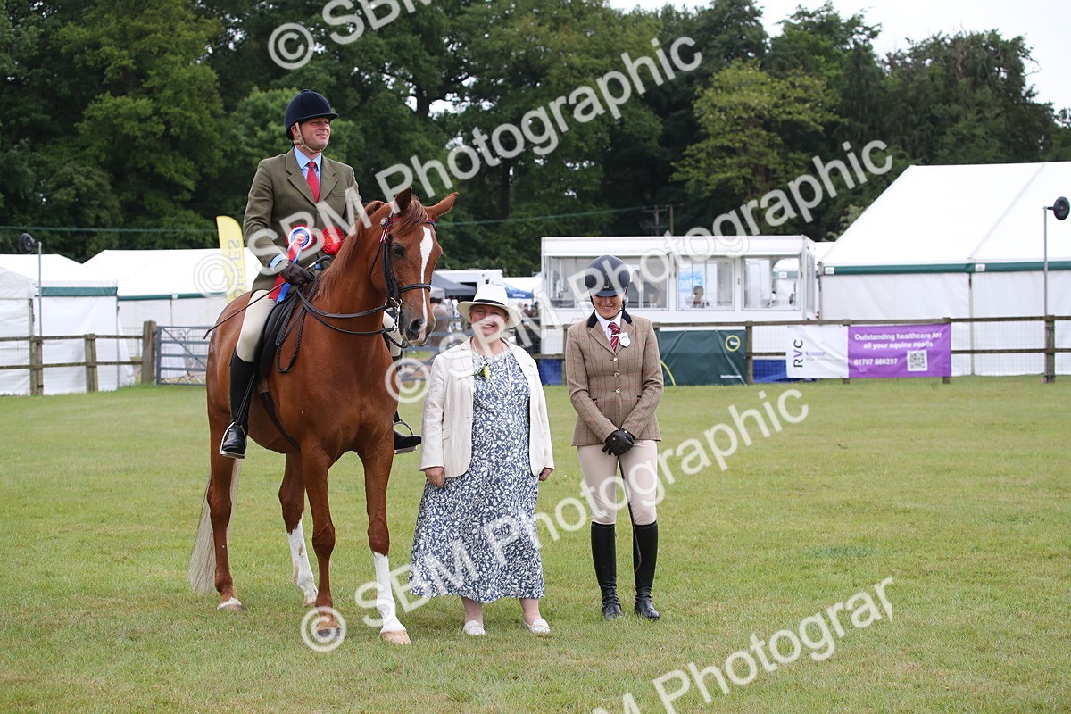 SBM_03648 - Class 21 - 22 - Ridden Arab and Part Bred/Anglo Arab