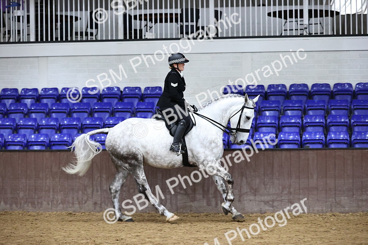 SBM_6304 - Class 17 - IDHSG Challenge Pure Breed