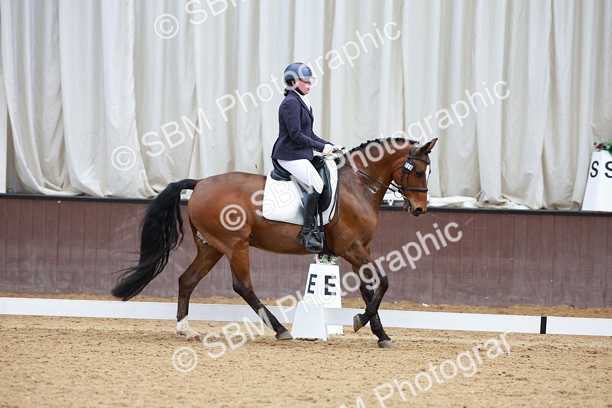 SBM_003600 - Class 15-16-18 - Novice 3-Elementary 1-PYO