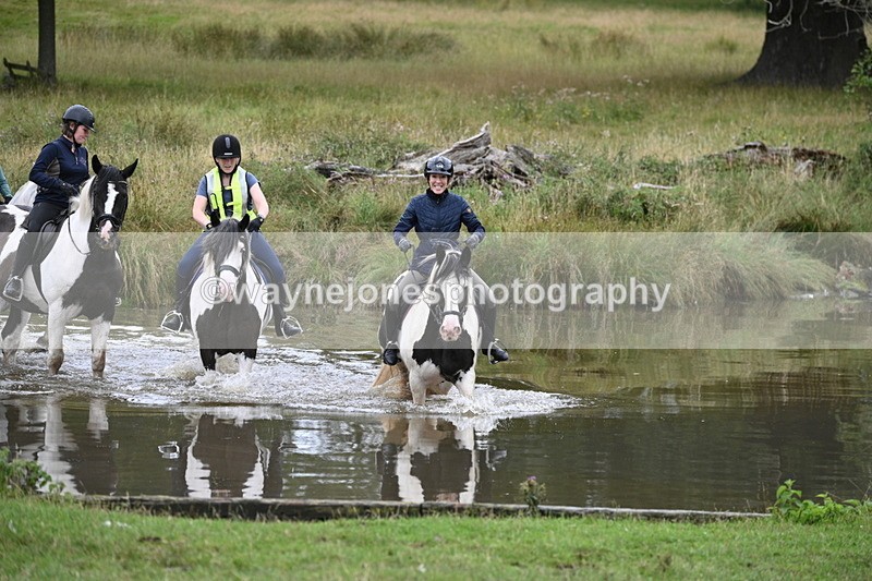 WJ7_2990 - Time at Water 11:37 to 12:13