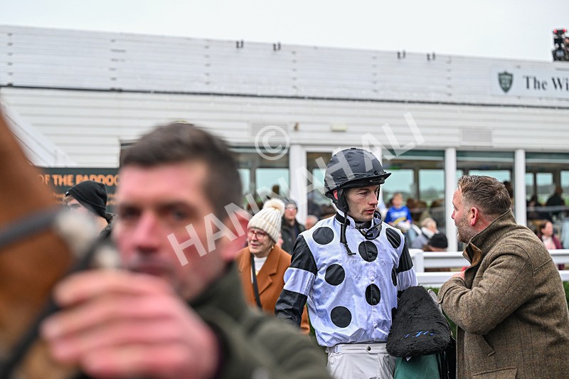 281225-Race 3-Supreme George-0650 - Race 3