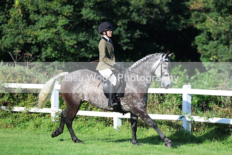 3E7A7578 - Class 1: Novice Working Hunter Pony