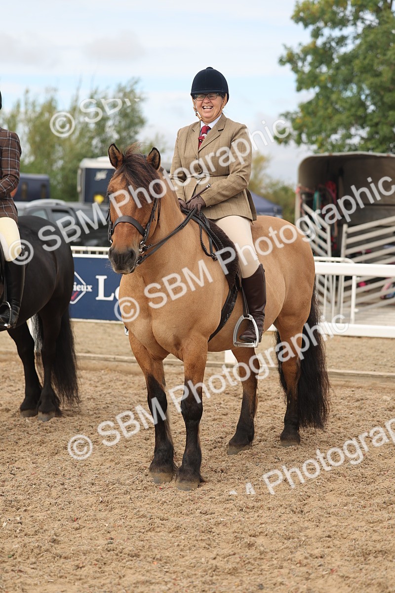 SBM_01965 - Class 14 - Ridden M&M Wildcard