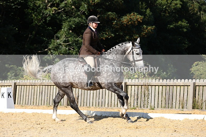 1X9A7666 - Class 8: Small Ridden Hunter