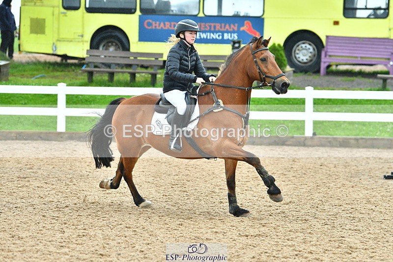 230730A-131742-10027 - Cls 33 85cm Amateur Quali